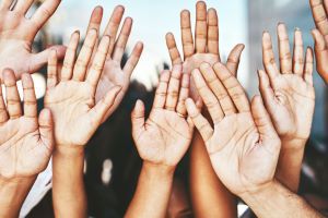 Adoptee Voices Inquiry Survey